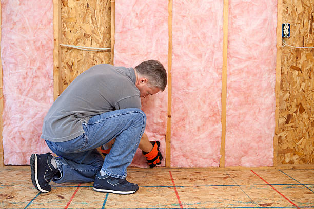 Insulation Inspection Services in Steiner Ranch, TX